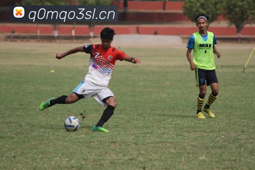 星空体育在线登录入口全站App